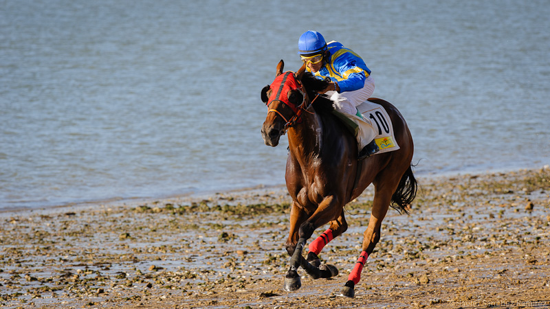 horse racing on the beach, carrera caballos en la playa