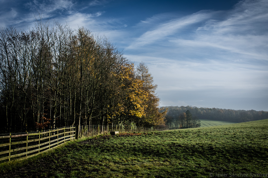 Countryside of Yorkshire