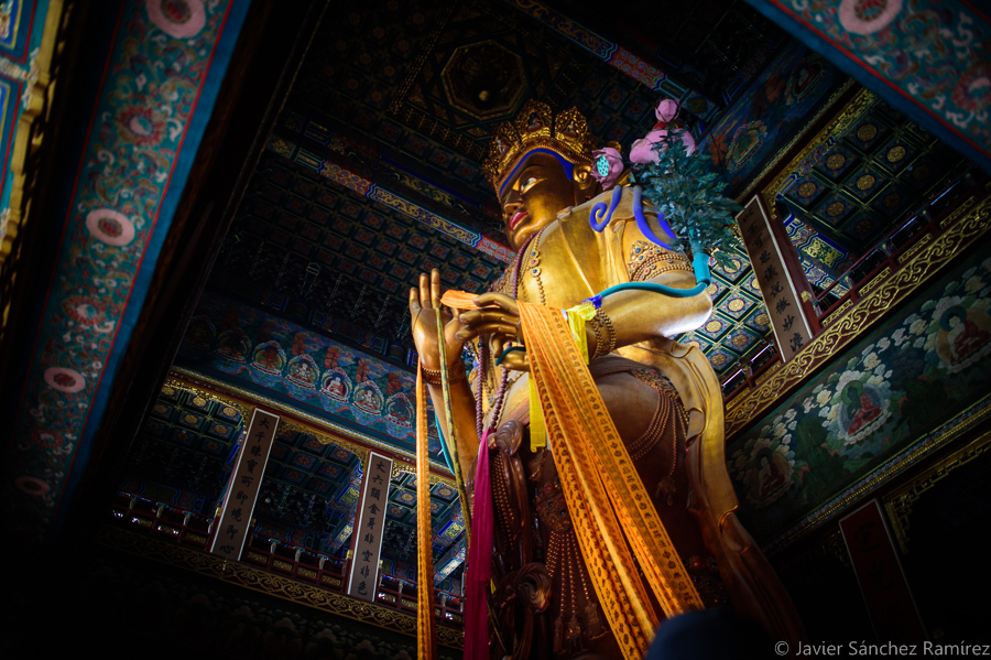 Travel photography Lama Temple Beijing